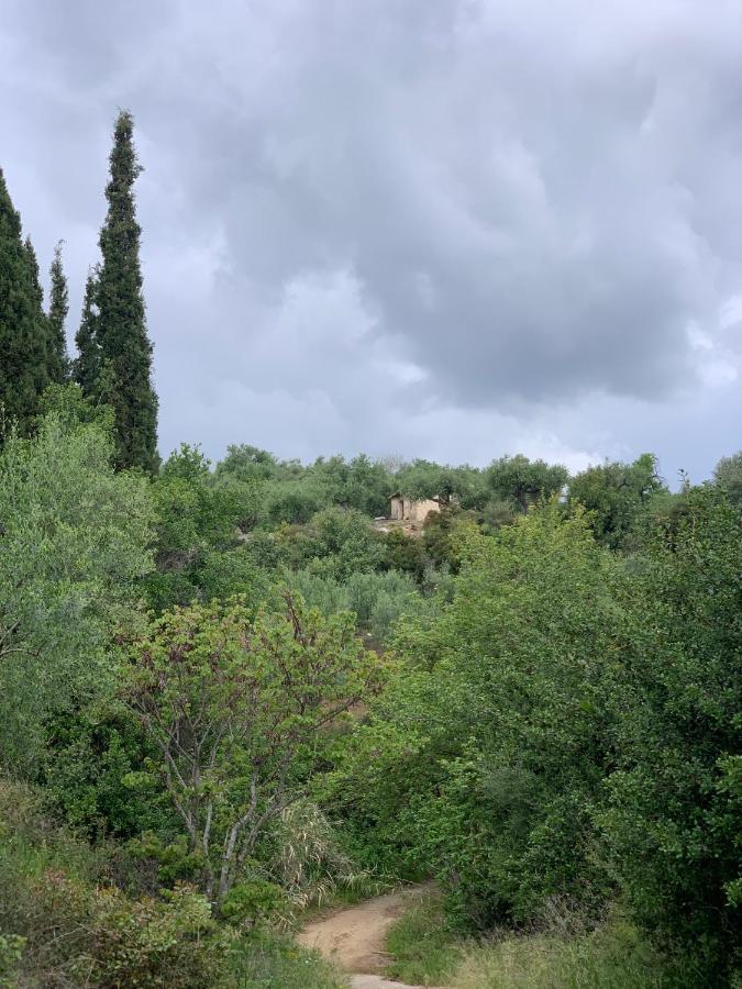 Villa Delfini チラニ エクステリア 写真